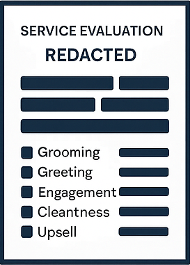 Service Evaluation Sample